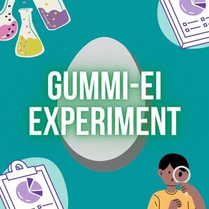 <strong>Gummi-Ei Experiment</strong>